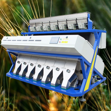 448 Channels Vision Manufactured CE Certificated Oats Color Sorter Machine