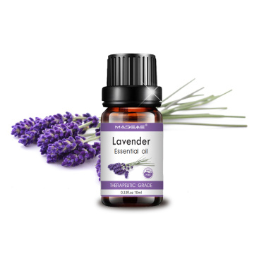 Óleo essencial de lavanda 10 ml de óleo de lavanda para a pele do sono para cabelos