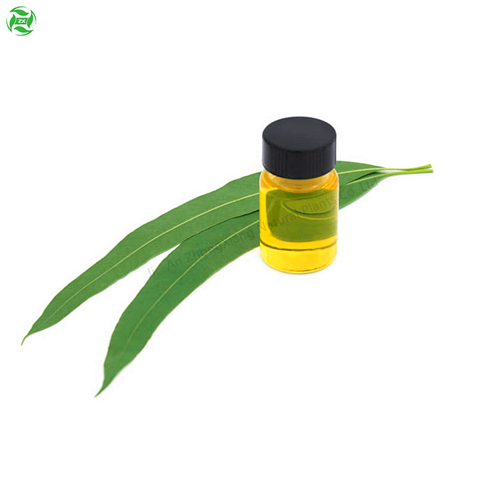 Essential Oils Eucalyptus Fragrance Oil for Candles,Massage