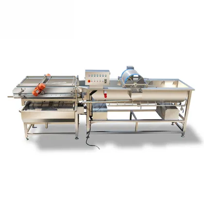 Vegetable Bubble Washing Machine Continuous Type