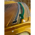 Petrofuf s-181 Grand Piano Pertural 1810cm Petrof PraftMansaniction Piano