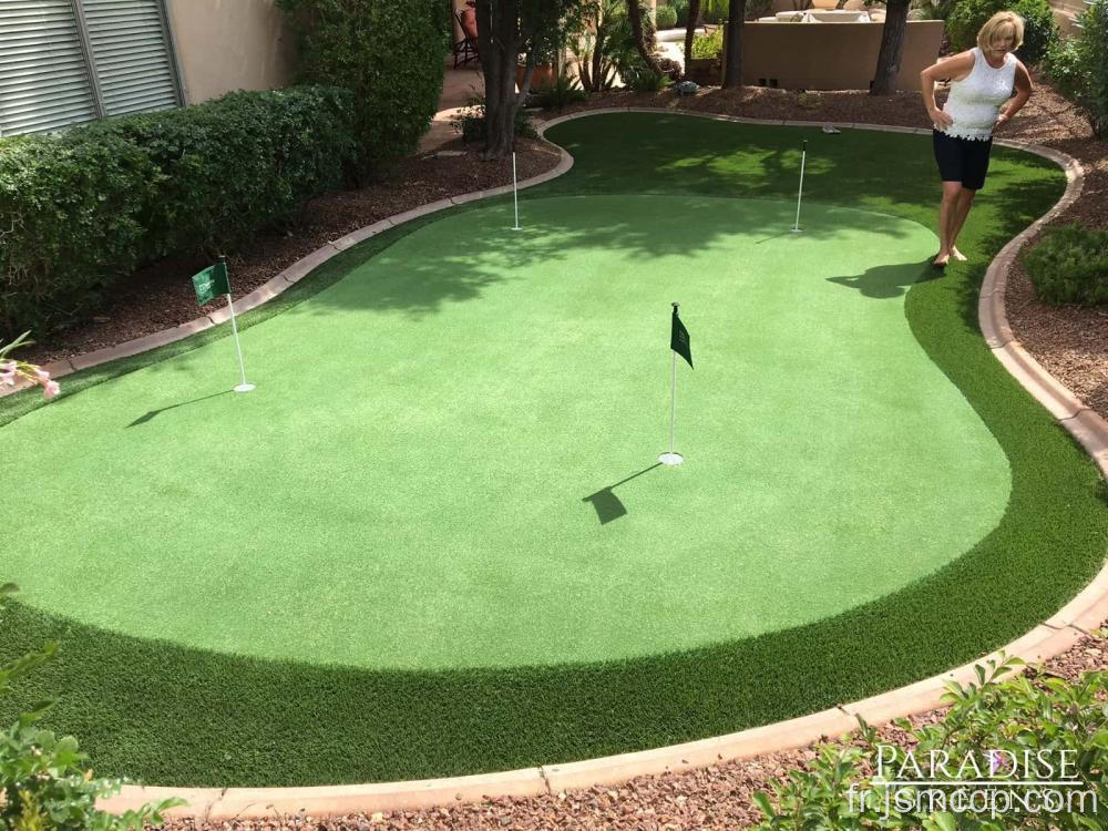 Golf d&#39;herbe artificielle met vert