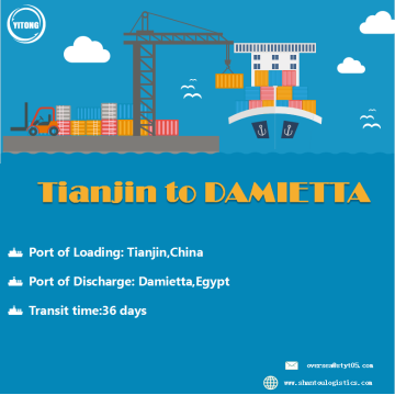 Sea Freight Service van Qingdao naar Damietta Egypte