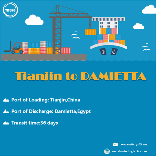 Servicio de carga marítima de Tianjin a Damietta Egipto