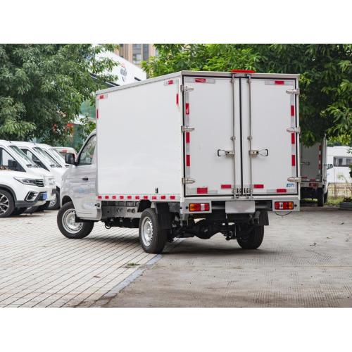 نام تجاری جدید Rich EC71 Cargo/ Box EV کامیون