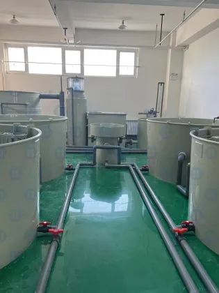 Customized Aquaculture Drum Filter for Recirculating Aquaculture Systems