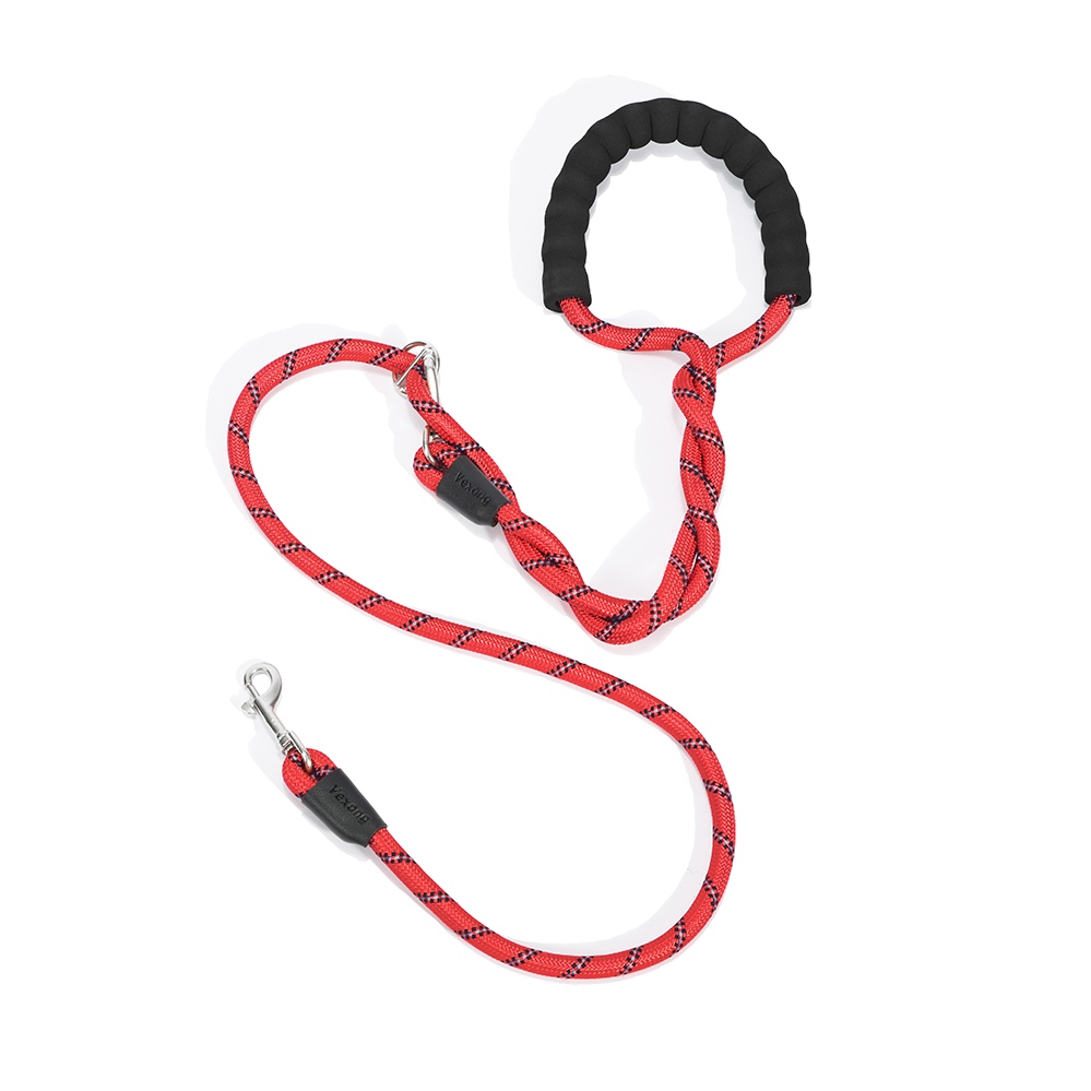 dual retractable dog leash