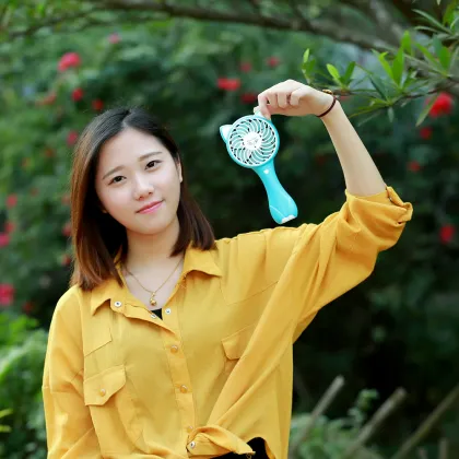 Handheld Electric Small Fox Fan for Bedroom Bathroom