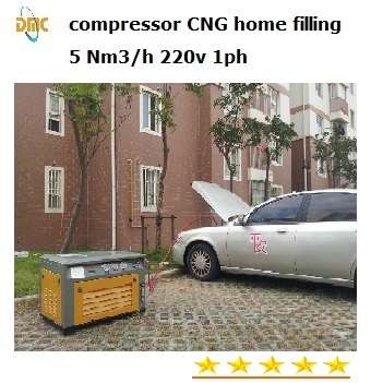 CNG Compressor 5m3/Hr 2gge 3600psi Home Use (DMC-5/200)