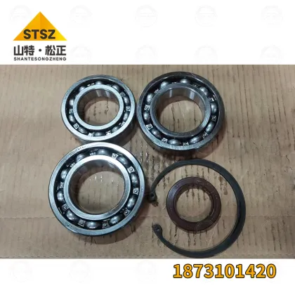 Hitachi ZX450-3F Coupling 1873101420