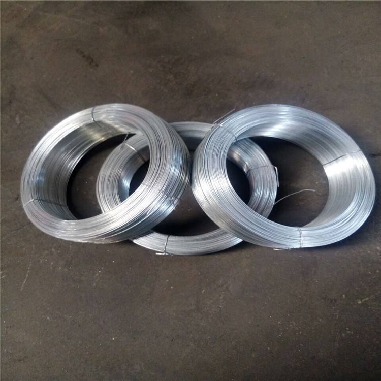 Small Coil Galvanized Wire6