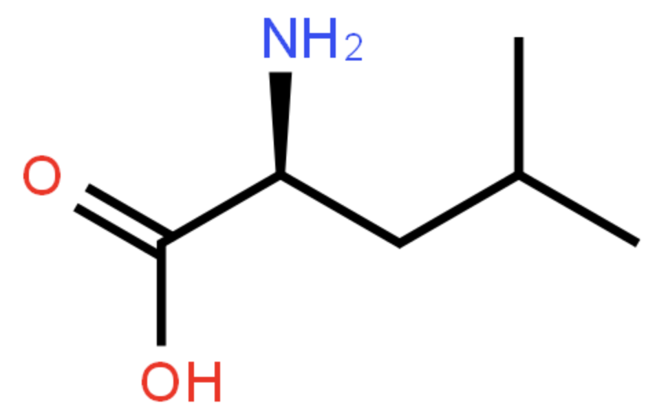 L-Leucine Bulk Raw Material Factory