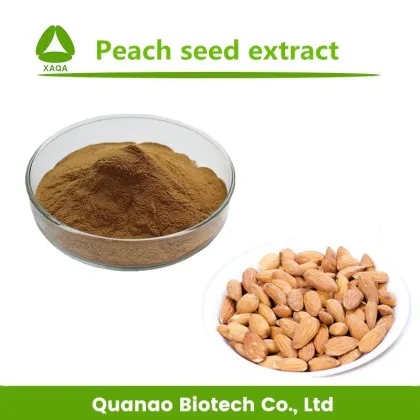 Pure Peach Kernel Extract Peach Seed Extract Powder