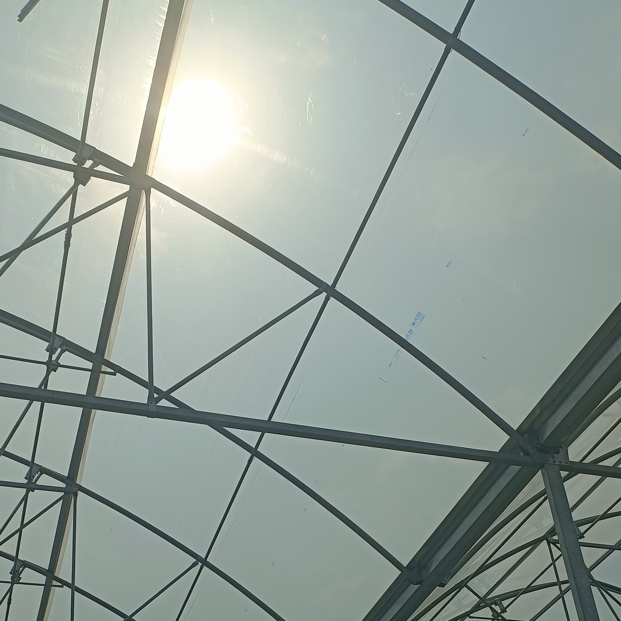 diffused greenhouse film