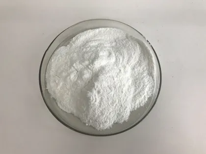 Giga White Powder Skin Whitening