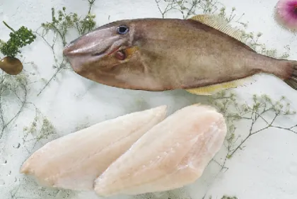 frozen leather jacket fillet