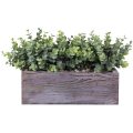 Faux Eucalyptus Plants in Rectangular Wood Planter Box