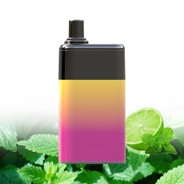 Các hương vị khác nhau dùng một lần 6500puffs Vape Pod