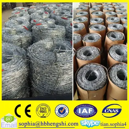 Hebei galvanized barbed wire/barbed wire fence/barbed wire mesh fence                        
                                                                                Supplier's Choice