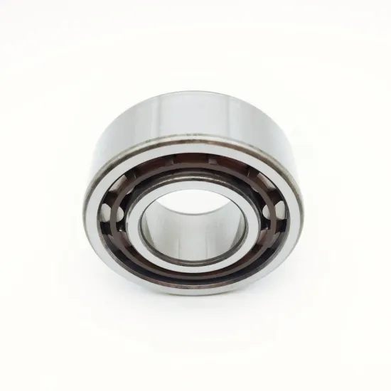 Cylindrical Roller Bearings NJ.40646.H100 24.97x54x21.1mm for Passenger Car Gearbox