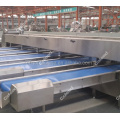 Fresh Fruit And Vegetable Grader for processing line