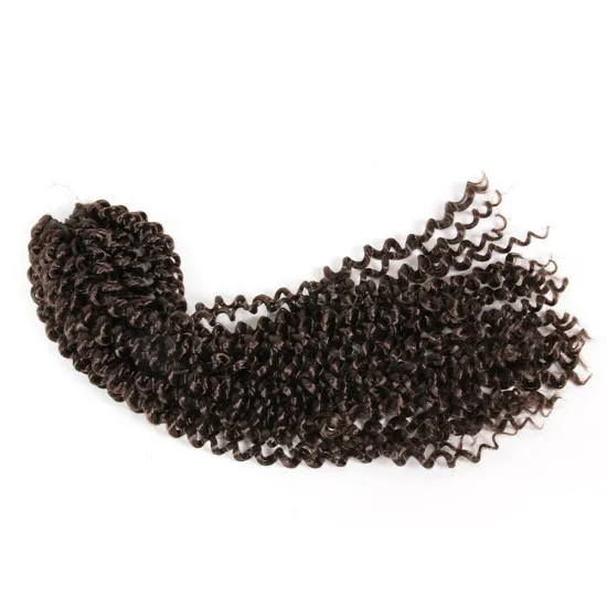 Alileader Afro Textured Synthetic Crochet Braiding Hair Passion Twist Hair Extension
