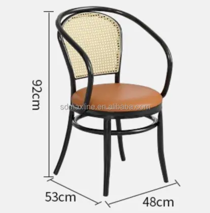 Indoor Outdoor Metal Dining Chairs by Thonet