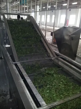Candied fruit dryer equipment