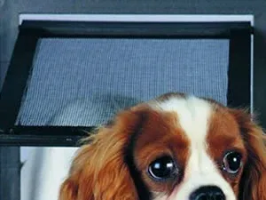 Easy-Washing Fiberglass Mesh for Window and Door