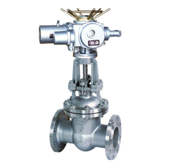 Stainless Steel Gate Valve