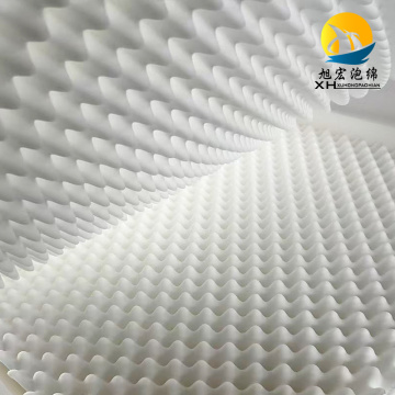 Éponge biodégradable écologique pour animaux de compagnie