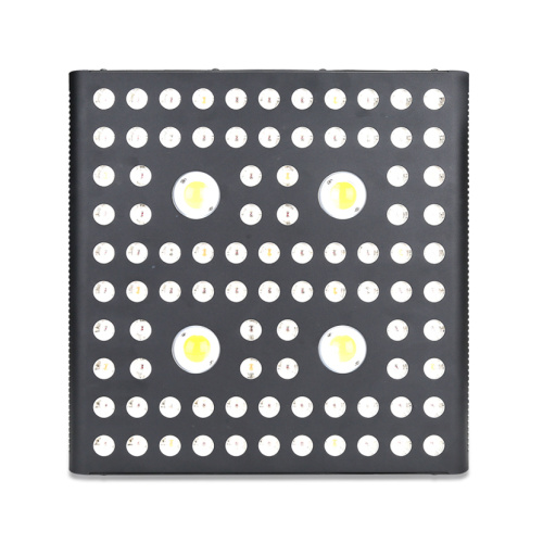 2020 Canada Best Selling LED Grow Light 2000w