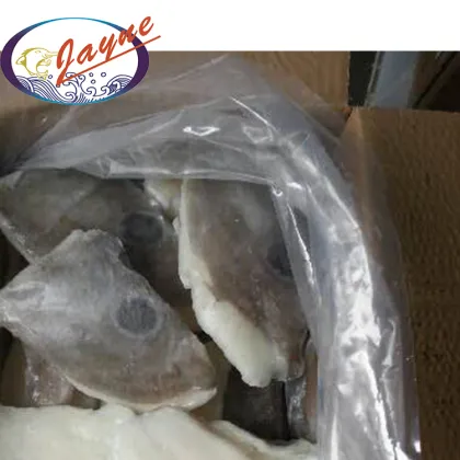 New Products Seafood Products Frozen John Dory,Vacuum Packing Frozen John Dory Fillet