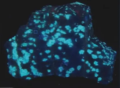 FLA6000 Micro Fiber Optic Spectrometer - NIR Spectrometer (1600nm)