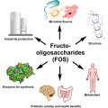 Fructooligosaccharides à chaîne à chaîne courte (SCFOS) poudre 95