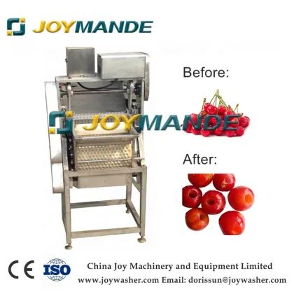 High Quality Industrial Cherry Seed Remover Machine - Cherries Pitting Machine
