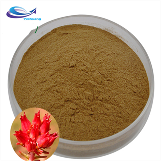 Pure Natural Top Quality Hawthorn Fruit Extract Hawthorn