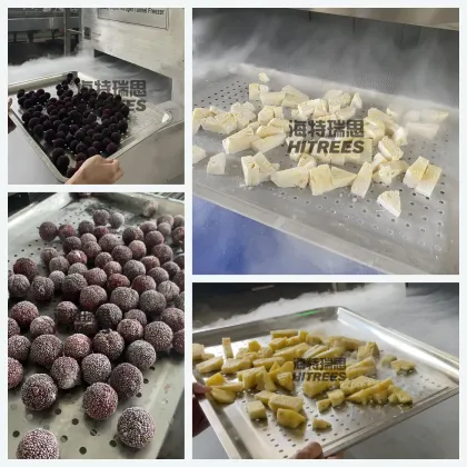 Cryogenic Freezer Cooling Tunnel Machine: IQF Liquid Nitrogen Quick Freezing Equipment