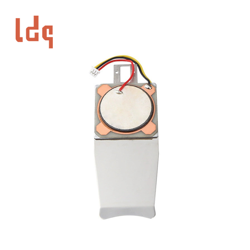 Beauty instrument transducer