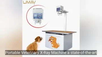 Advanced Veterinary X-Ray Machine for Diagnostic Imaging