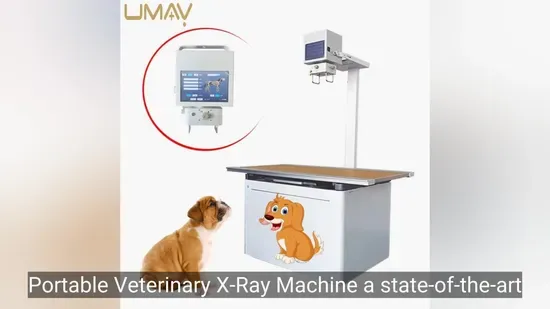 Advanced Veterinary X-Ray Machine for Diagnostic Imaging