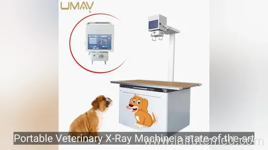 Advanced Veterinary X-Ray Machine for Diagnostic Imaging