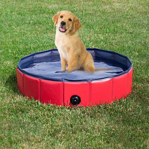 Amazon 120 * 30 cm PVC Piscine de compagnie pliable pour animaux de compagnie