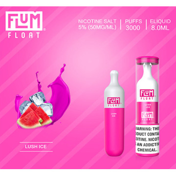 Vape pen Kits 3000 Puffs Flum Float