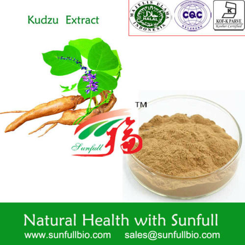 Kudzu Root Extract, High Quality Kudzu Root Extract on