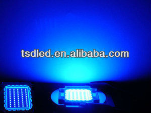 High-Power LED Chips for Plant Growth: 30W, 50W, and 100W 420nm-460nm Spectrum for Optimal Photosynthesis