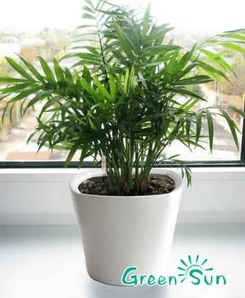 shabby chic wholesale garden pot