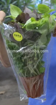 Food grade Vegetable & flower sleeves