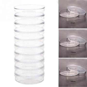 10pcs 100mm Clear Petri Dishes Affordable For microorganisms Cell Clear Sterile Chemical Instrument Drop Shipping