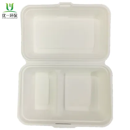 Bento Box Disposable Takeaway Eco Disposable Lunch Box